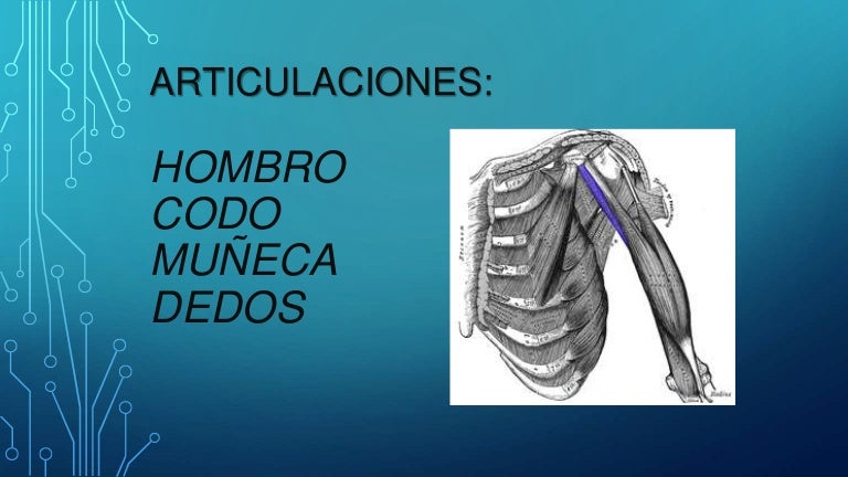 cuidado de articulaciones y ligamentos
